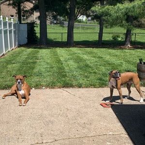 Meet your Posher, Jacob